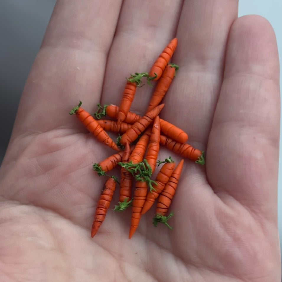 1:12 Set van 6 wortels - Handgemaakt - Poppenhuis