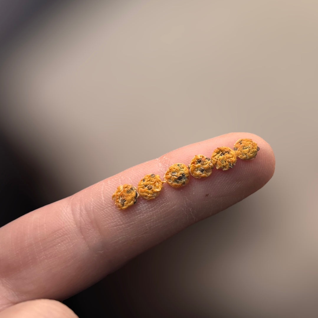 1:12 Set van 6 chocolate chip koekjes - Handgemaakt - Poppenhuis