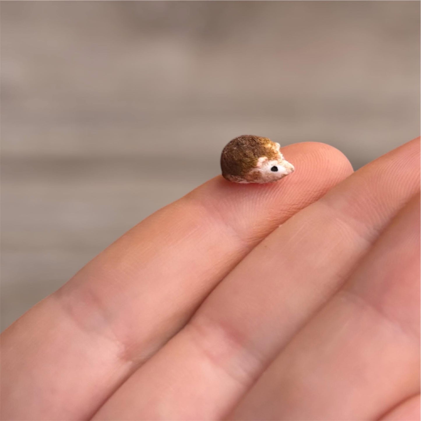 1:12 Egeltjes - Handgemaakt - Poppenhuis