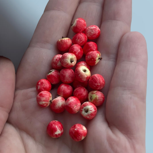 1:12 Rode appels - per 6 of 20 stuks - Handgemaakt - Poppenhuis