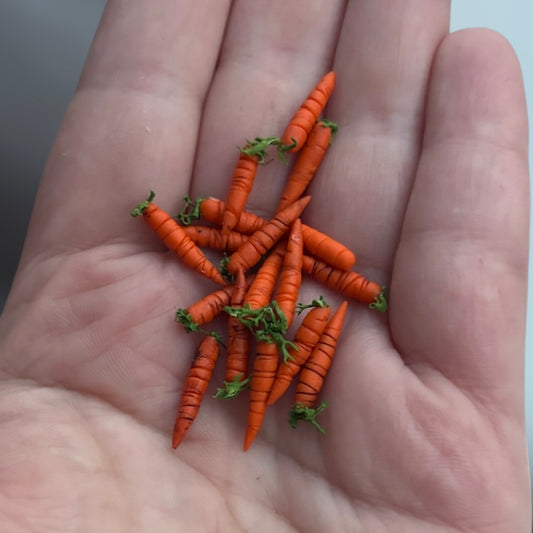 1:12 Set van 6 wortels - Handgemaakt - Poppenhuis